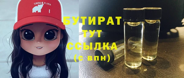 spice Инта