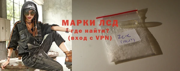 spice Инта