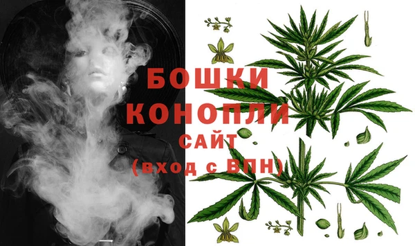 spice Инта