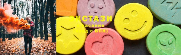 spice Инта