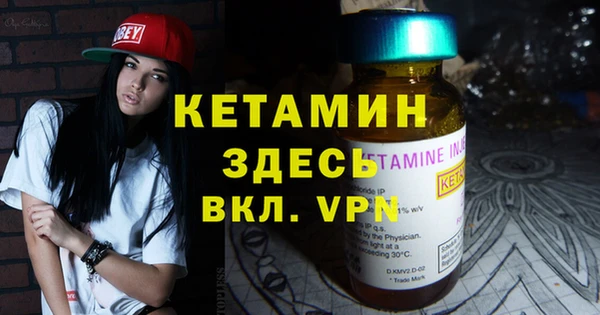 spice Инта