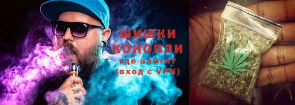 а пвп мука Инсар