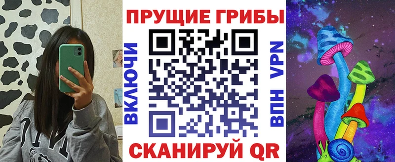 площадка телеграм  Кизляр  Псилоцибиновые грибы Cubensis 